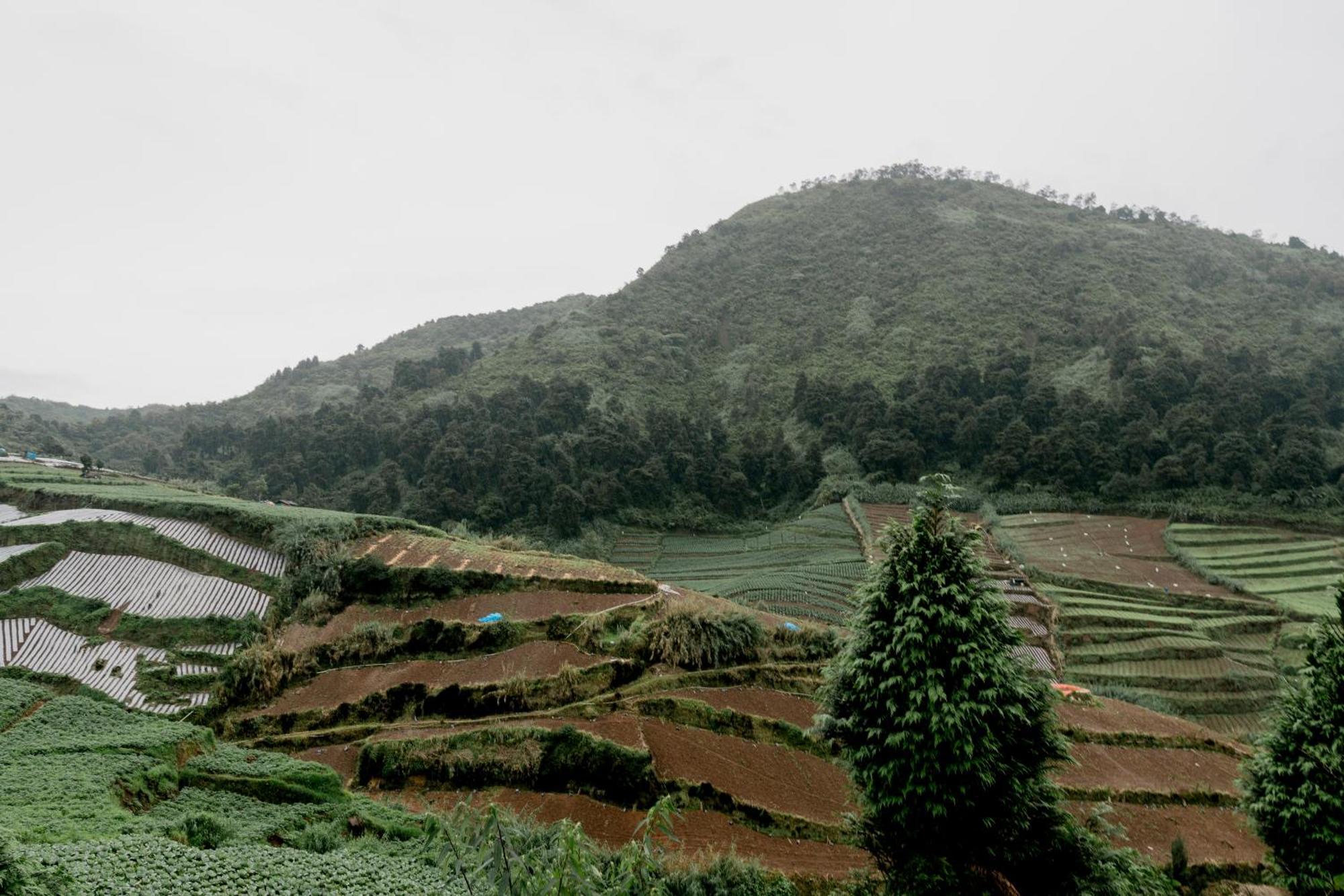 Satha Private Villa Dieng Banjarnegara Экстерьер фото